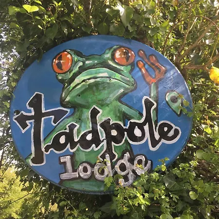 Hébergement de vacances Tadpole