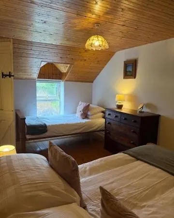 Tadpole * Γουότερφορντ