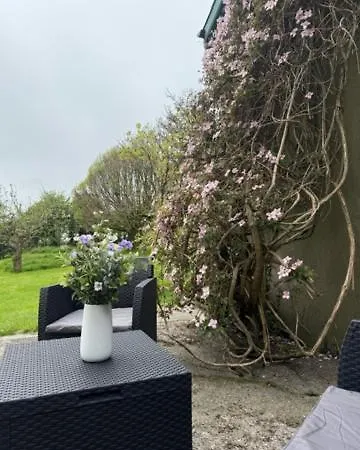 Tadpole * 沃特福德