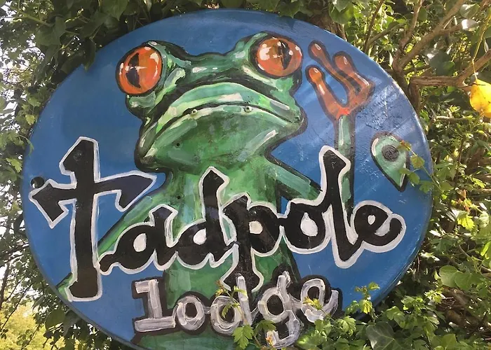 Vakantiehuis Tadpole